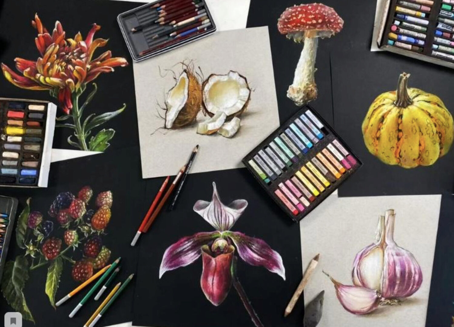 [Художник Online]  Ботаника пастелью (Ника Сабрекова)