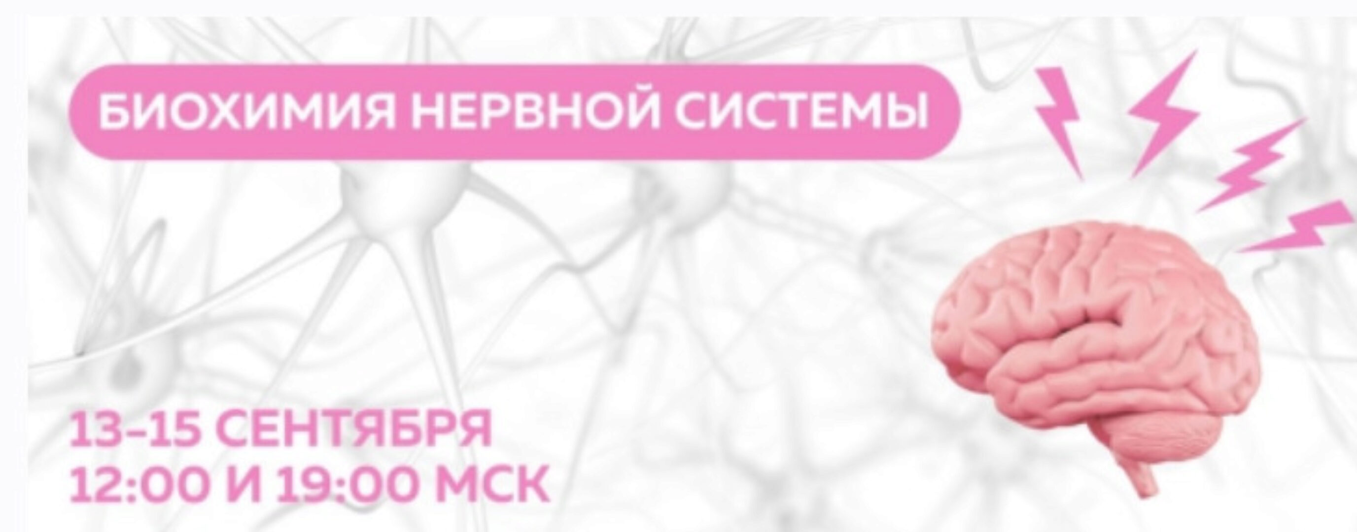 [МИИН] Биохимия нервной системы. Тариф Слушаю и участвую (Екатерина Веселова, Ольга Евдокимова, Олег Агапэ)