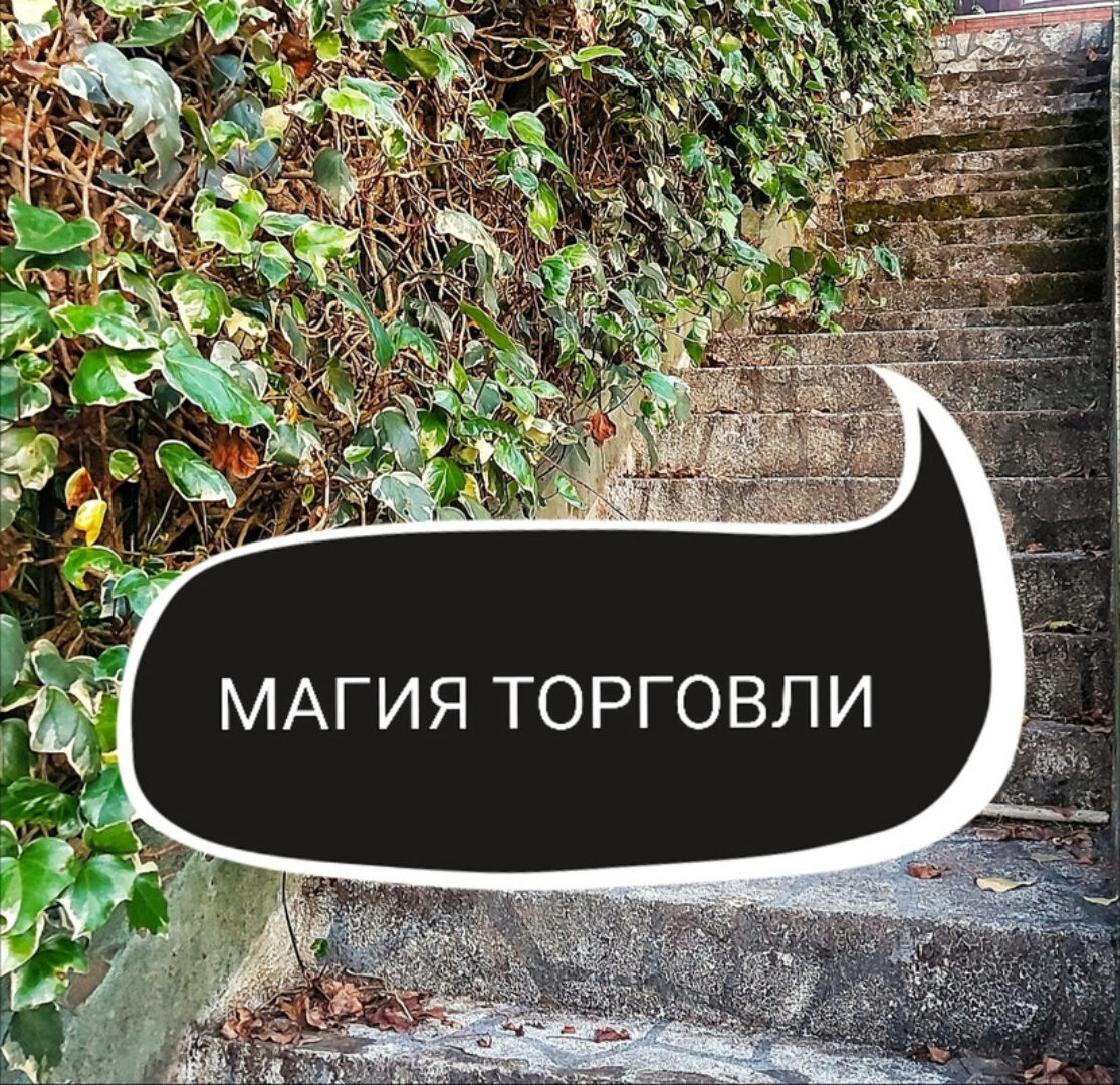 Магия торговли (Ольга Ракита)