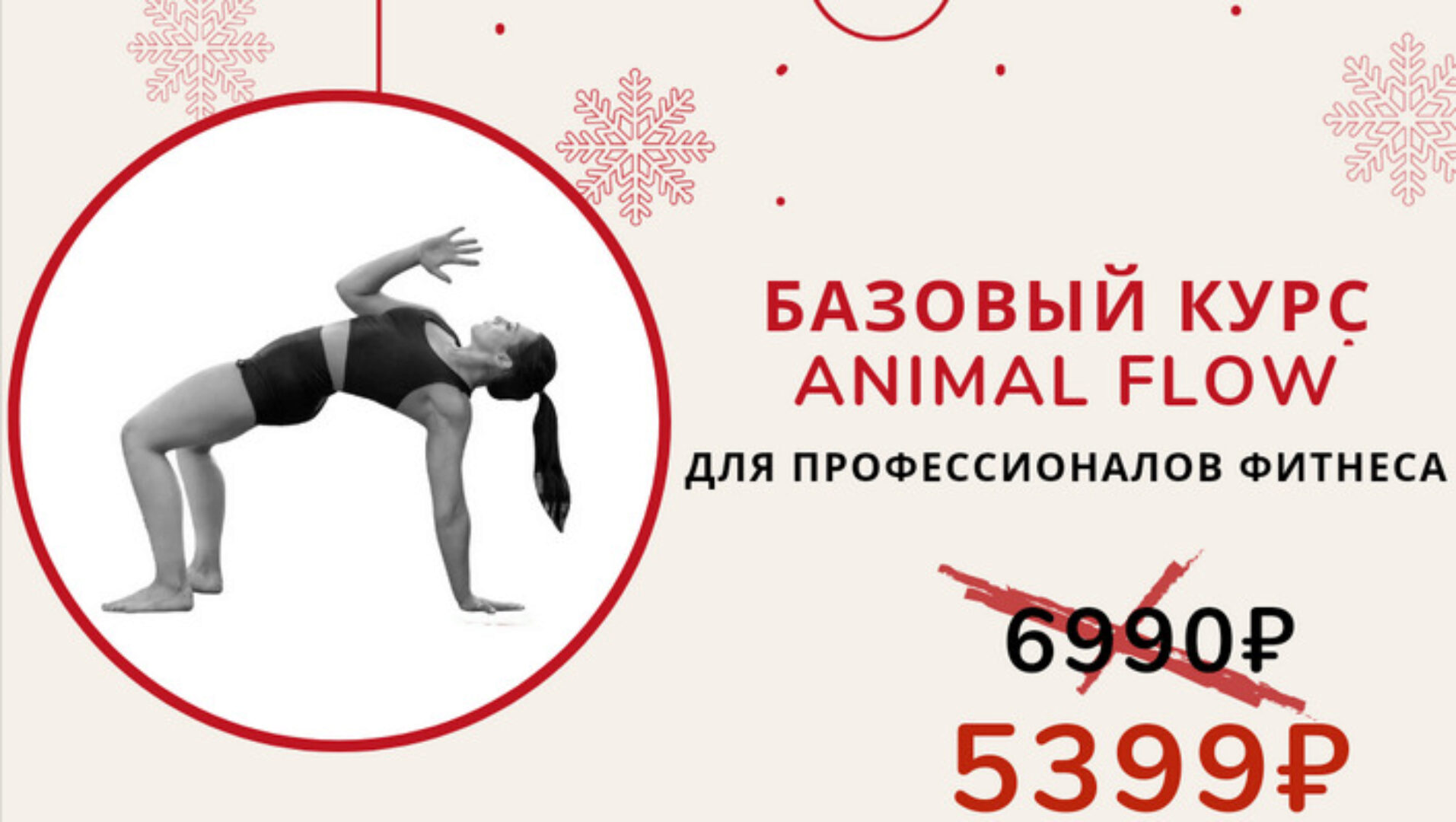 Базовый курс ‌Animal Flow. Без обратной связи (Анастасия Канивец)