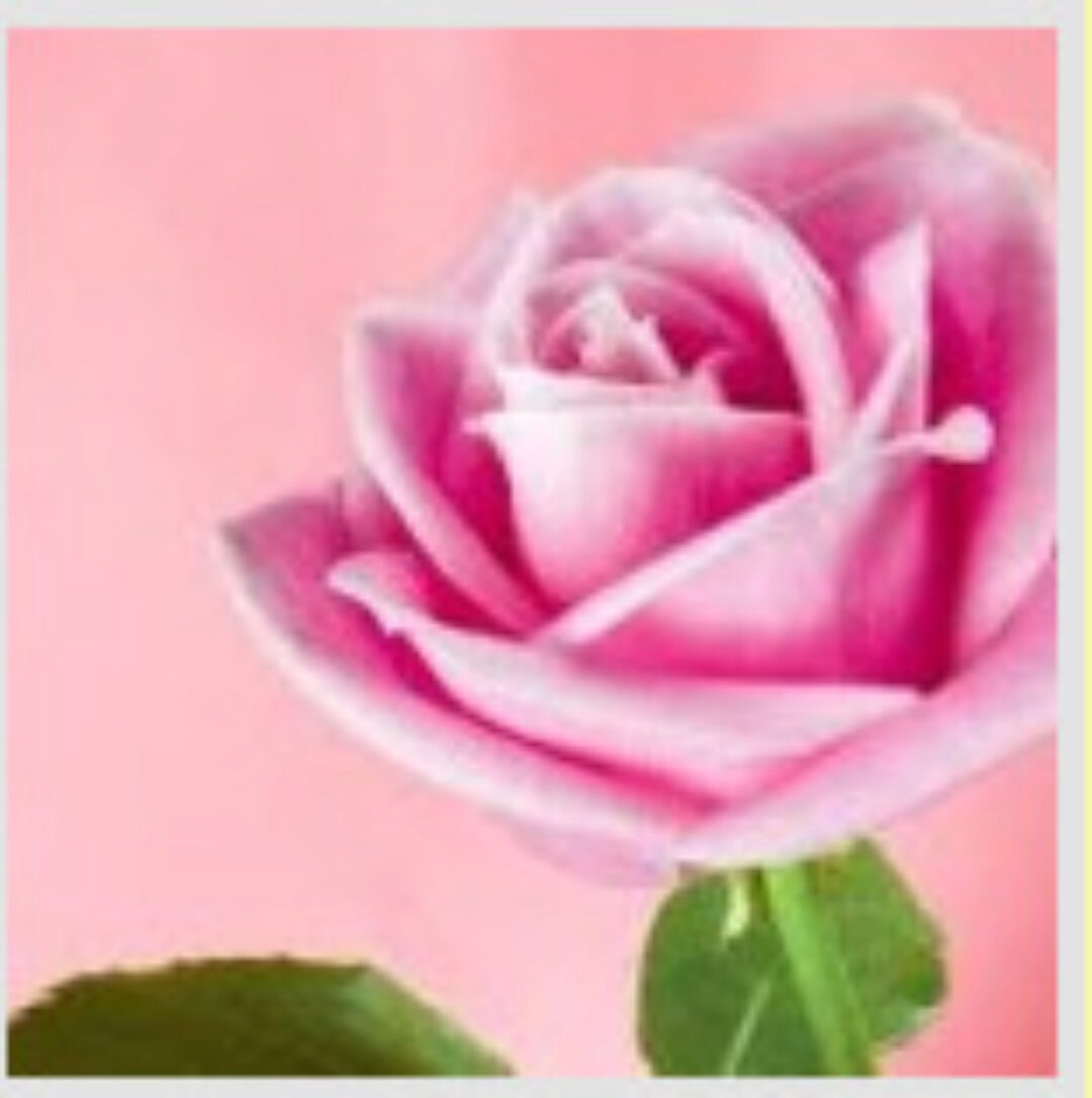 [Кекалике] Хоопонопоно. Женское счастье