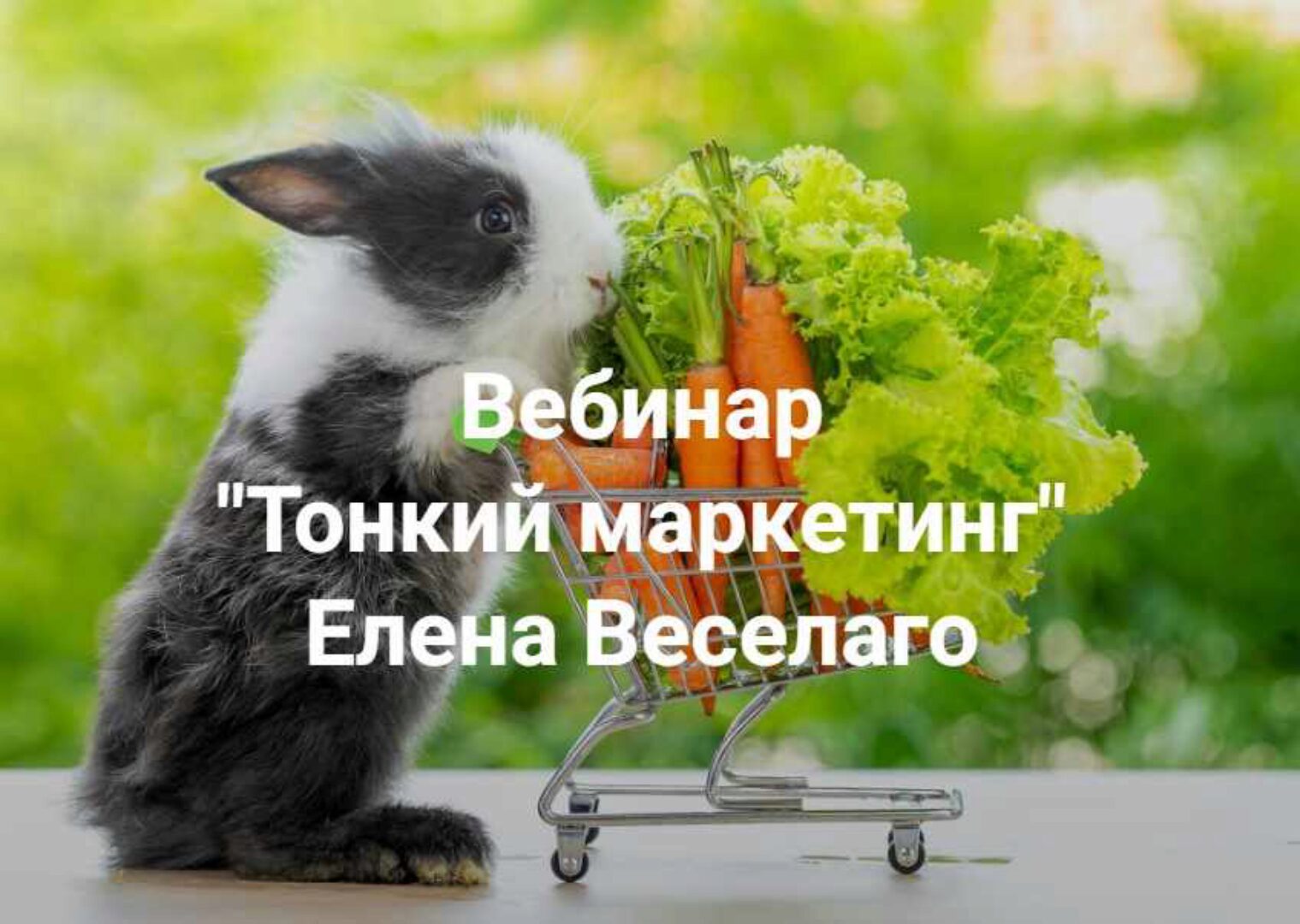 Тонкий маркетинг (Елена Веселаго)