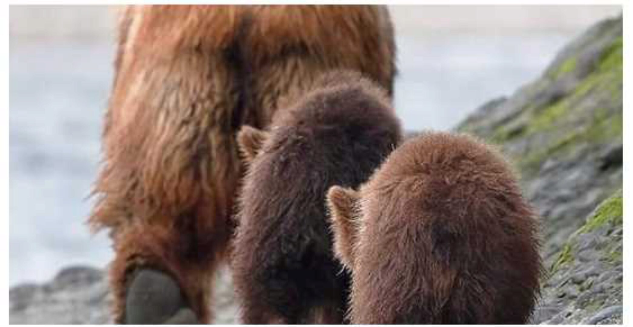 Миcтикa дробных кaрт. D10 (Винод Пракаш Гоел)