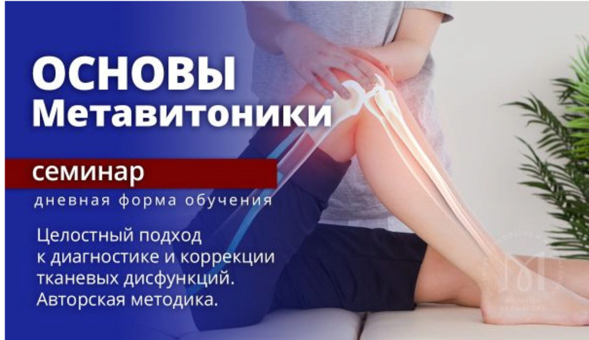 Основы Метавитоники: Целостный подход к диагностике и коррекции тканевых дисфункций (Эдуард Нейматов)