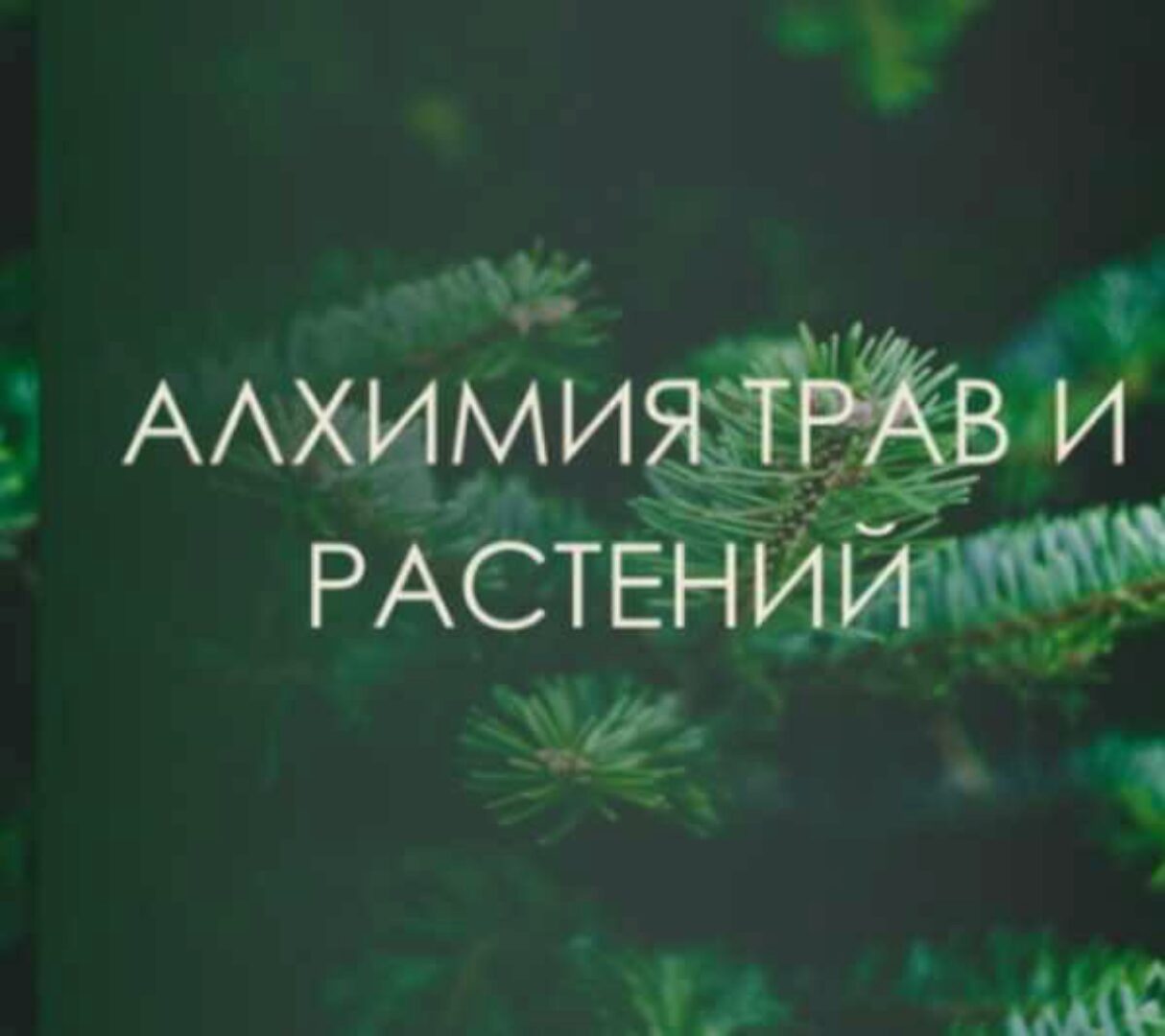 [Берегиня] Алхимия трав и растений (Марина Левит)
