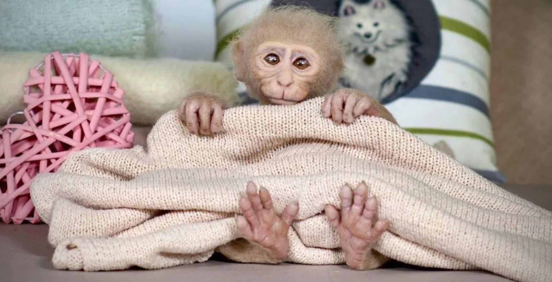 Мастер реалистичной игрушки. Тариф - Самостоятельный (Екатерина Сосина)