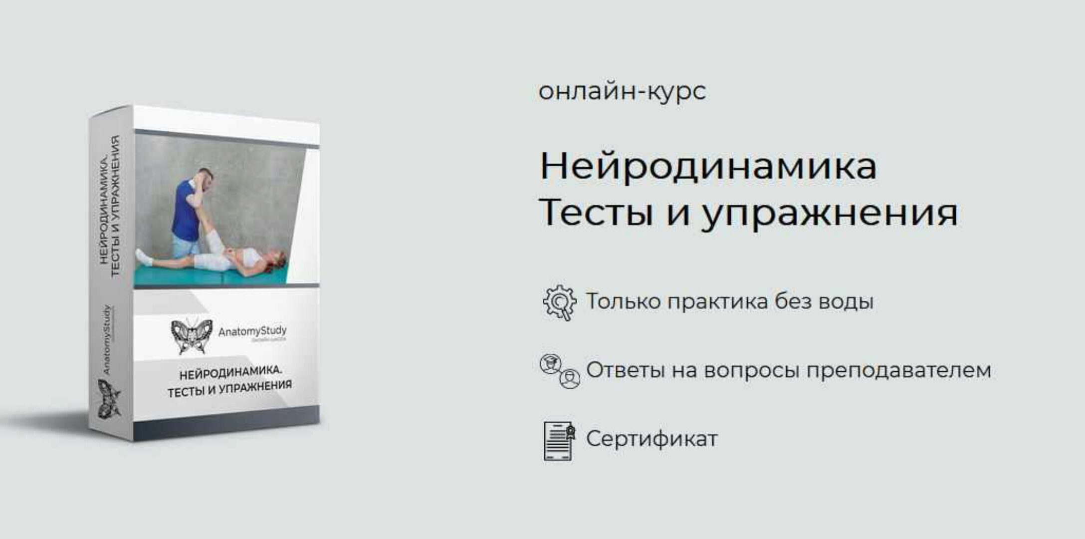 [Анатомия] Нейродинамика. Тесты и упражнения (Андрей Богатырев)