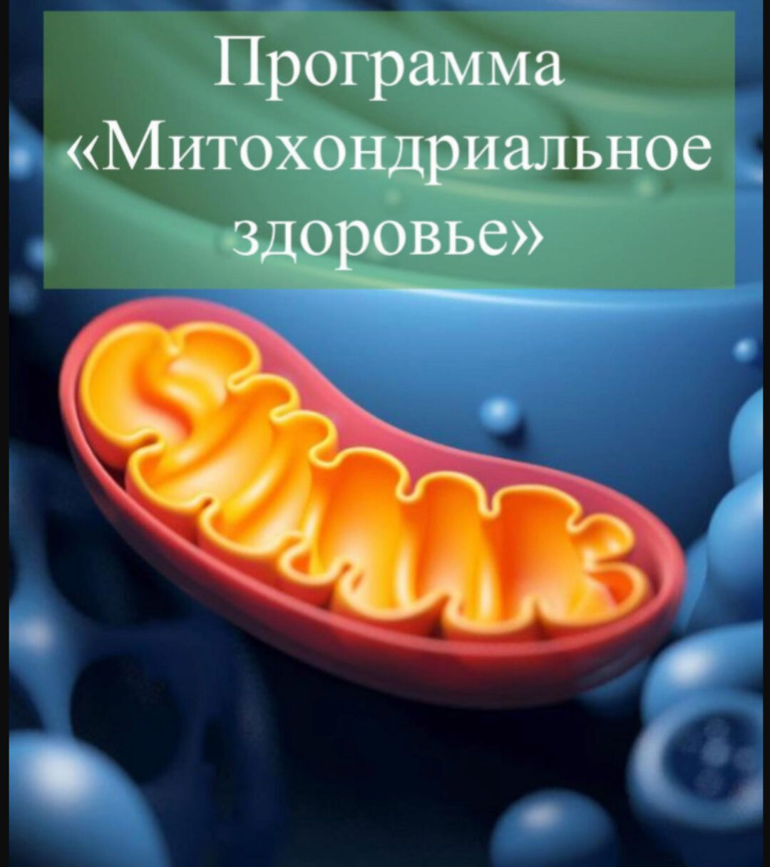 Программа Митохондриальное здоровье (Виктория Суслова)
