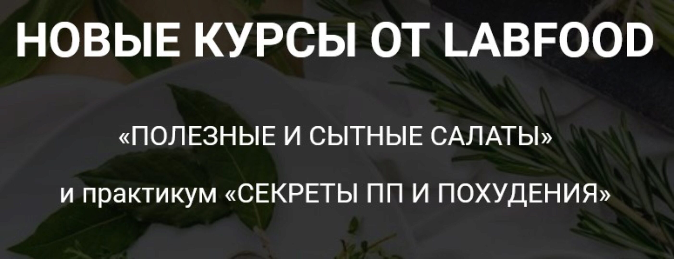 [Labfood] Полезные и сытные салаты (Яна Нетреба, Анастасия Нехорошкова)