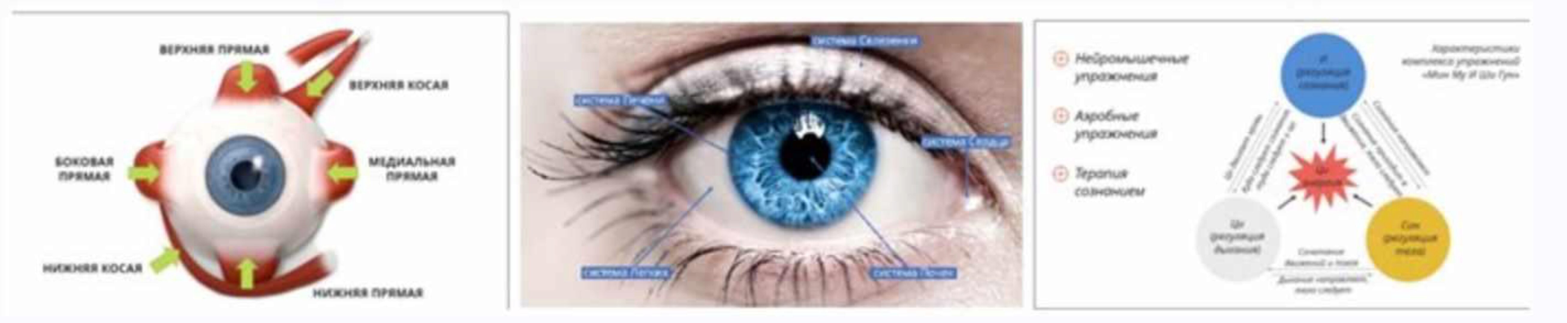 [Неоглори] Здоровые Глаза и Зоркий Взгляд. Комплекс упражнений Мин Му И Ши Гун для улучшения зрения в любом возрасте