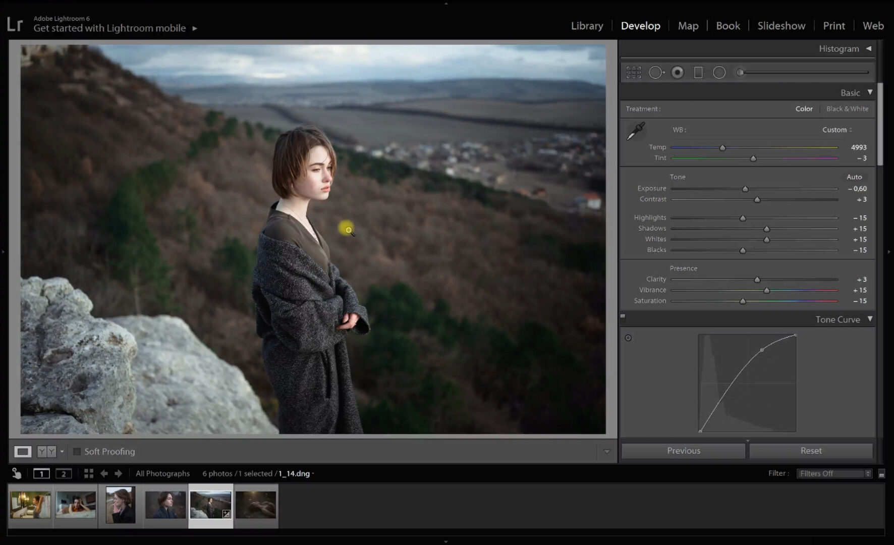 17 Пресетов + видеоинструкция (fivealeks)