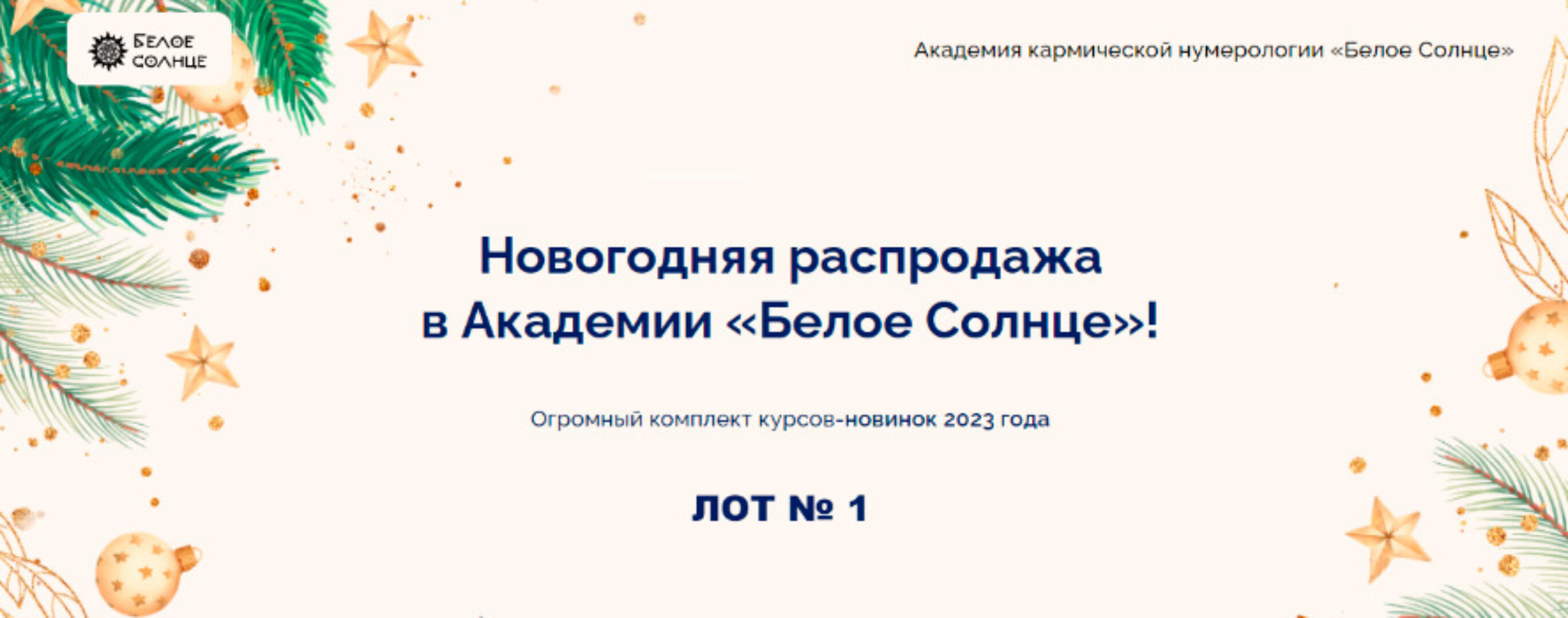 [Белое солнце] Новогодняя распродажа в Академии «Белое Солнце» 2023 год. Лот № 1 (Юлия Снеговая, Евгения Куликова)