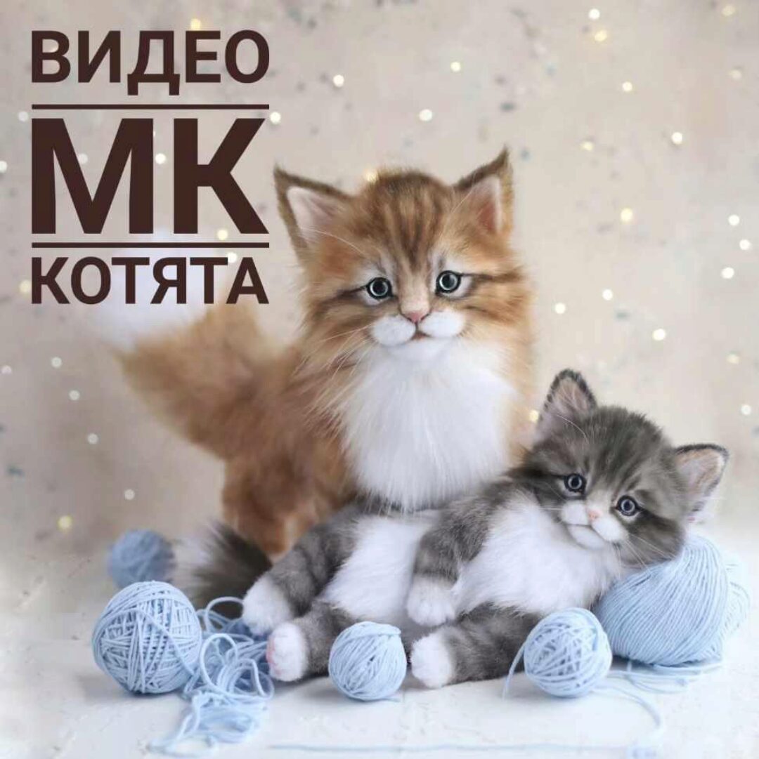 Котята (Инна Борзенкова)