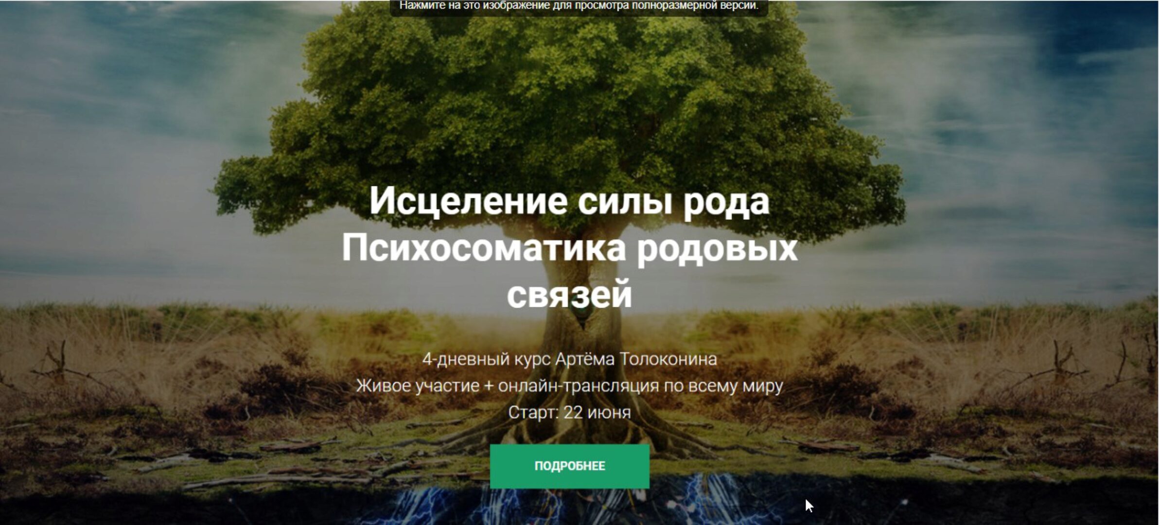 Исцеление силы рода. Психосоматика родовых связей (Артём Толоконин)