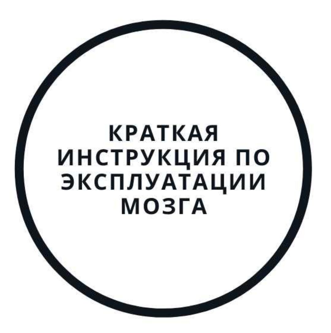 Краткая инструкция по эксплуатации мозга (Василий Смирнов)