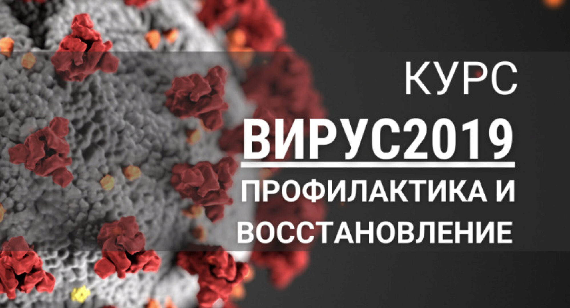 [7koschool] Вирус 2019 профилактика и восстановление (Анастасия Семко)