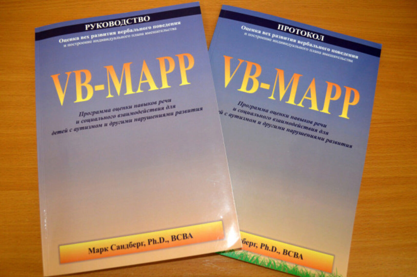 Vb-mapp для логопедов - вебинар о диагностике и постановке целей коррекции (Ольга Мордашова)