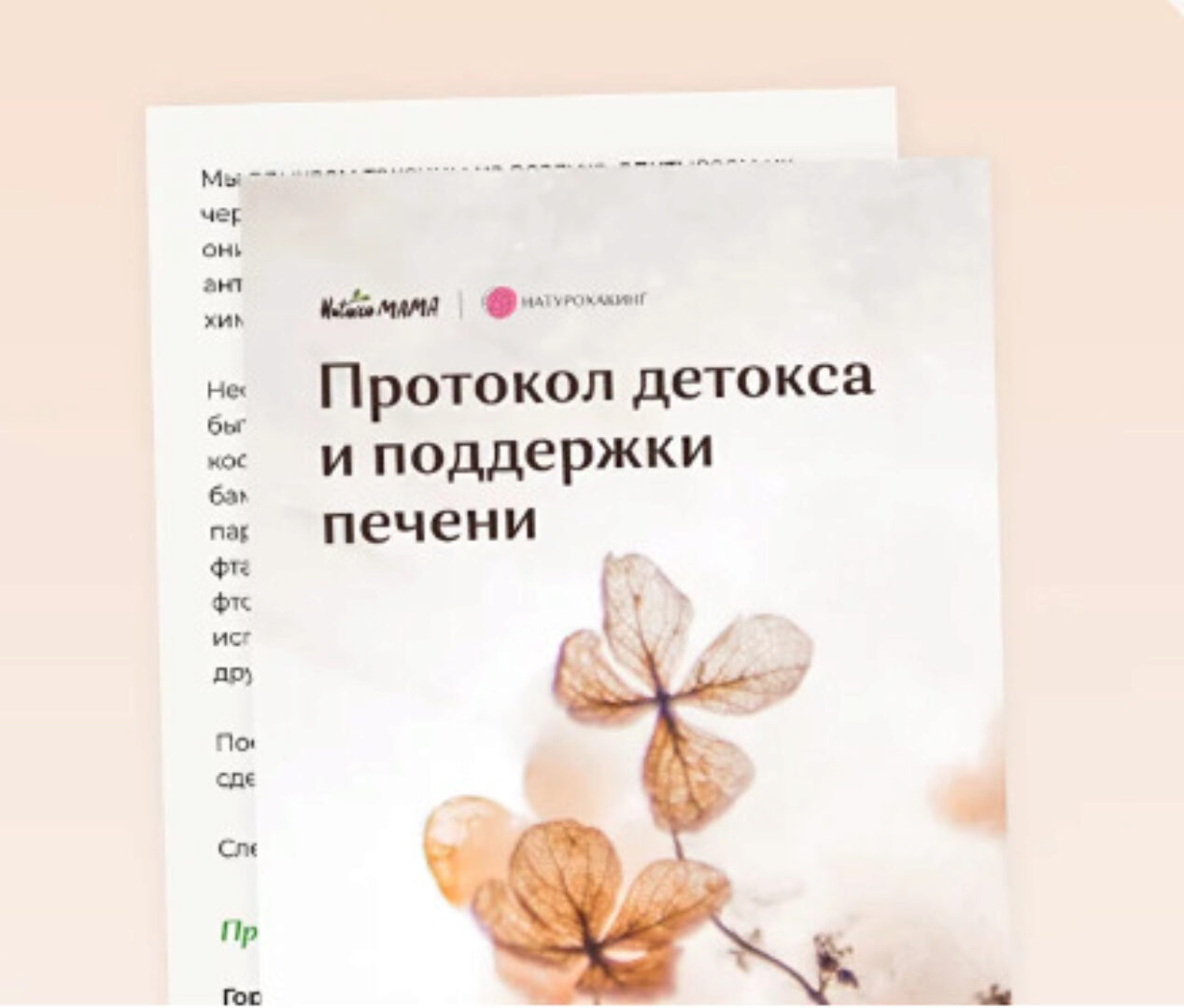 Рекомендации для детокса и поддержки печени (Вероника Хуснутдинова)