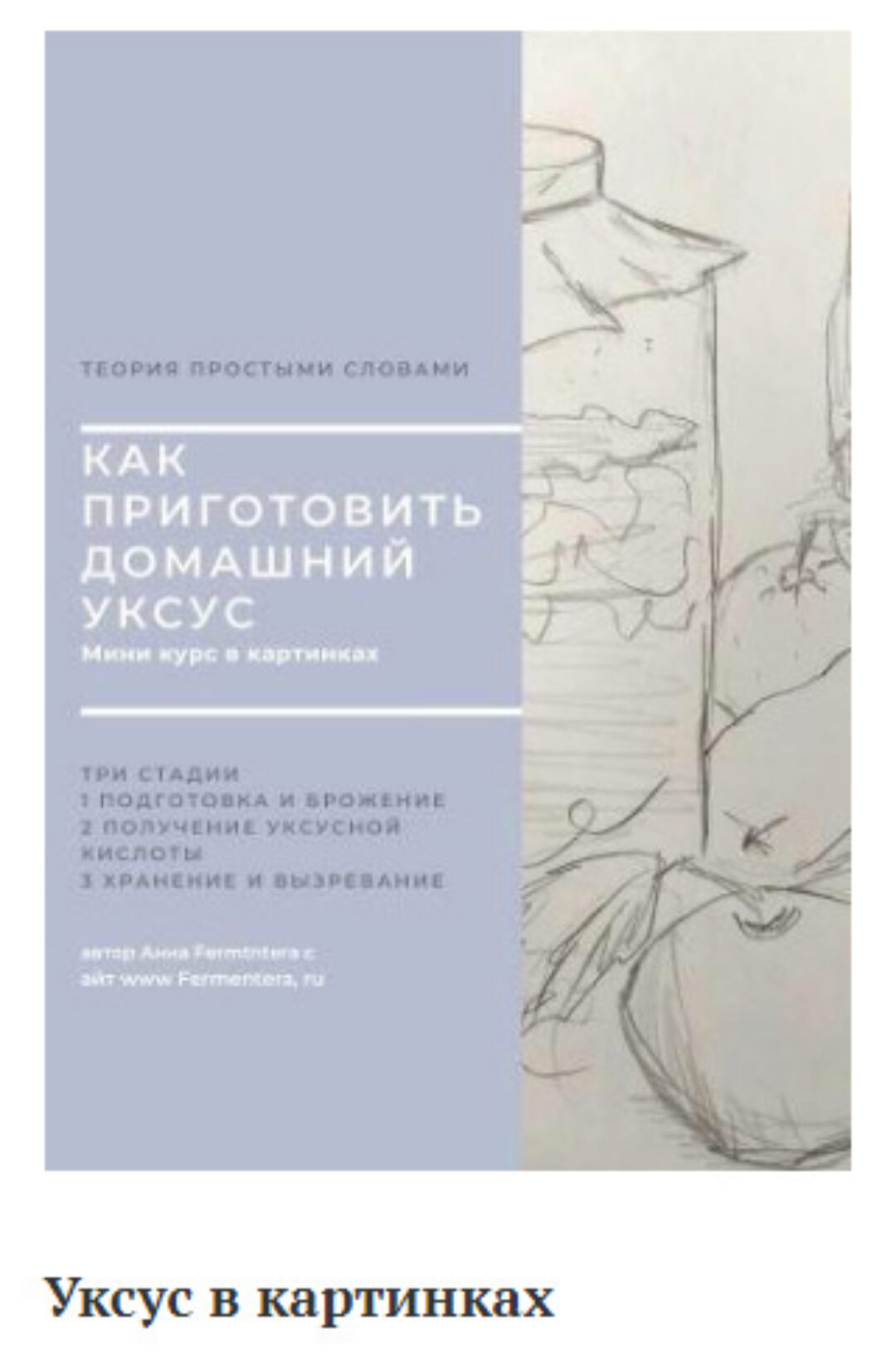 [Fermenterra] Как приготовить домашний уксус? В картинках (Анна Fermenterra)