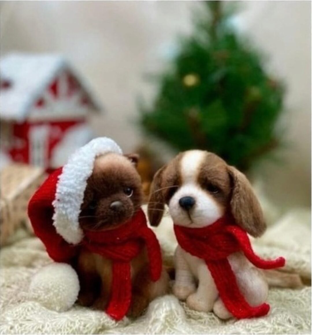 Котенок и щенок (Юлия Оголь)