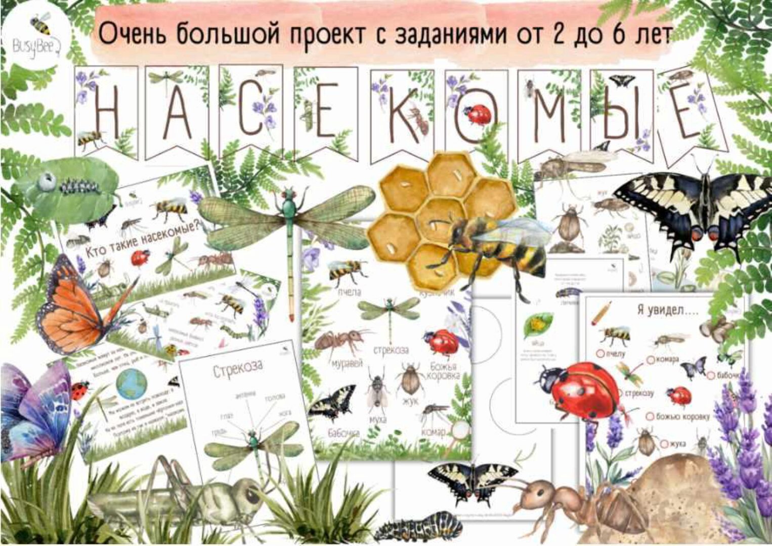 [busy-bee] Большой проект Насекомые (Елена Самсонова)