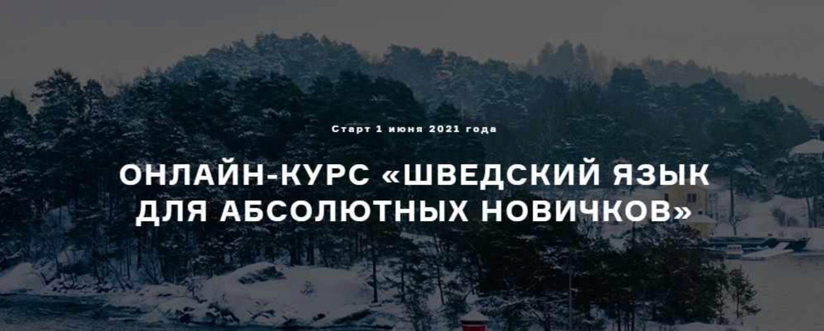Шведский язык для абсолютных новичков (Юлия Антонова-Андерссон)