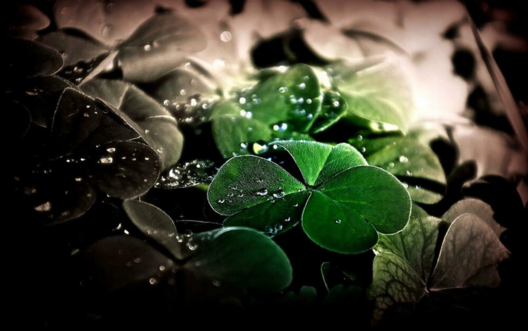 [Sigh Energy] Lucky drain Powerful Plus +11x (Extra Strong)