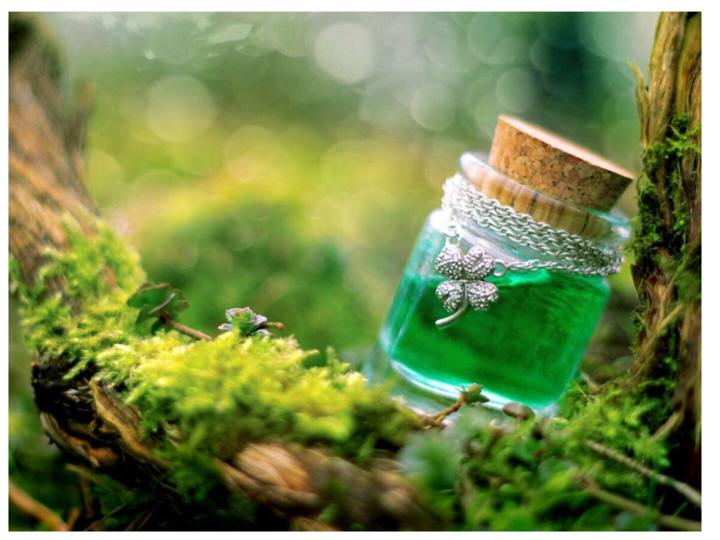 Школа Денежной Магии. Магические зелья - магниты для денег. Занятие 20 (фея София)