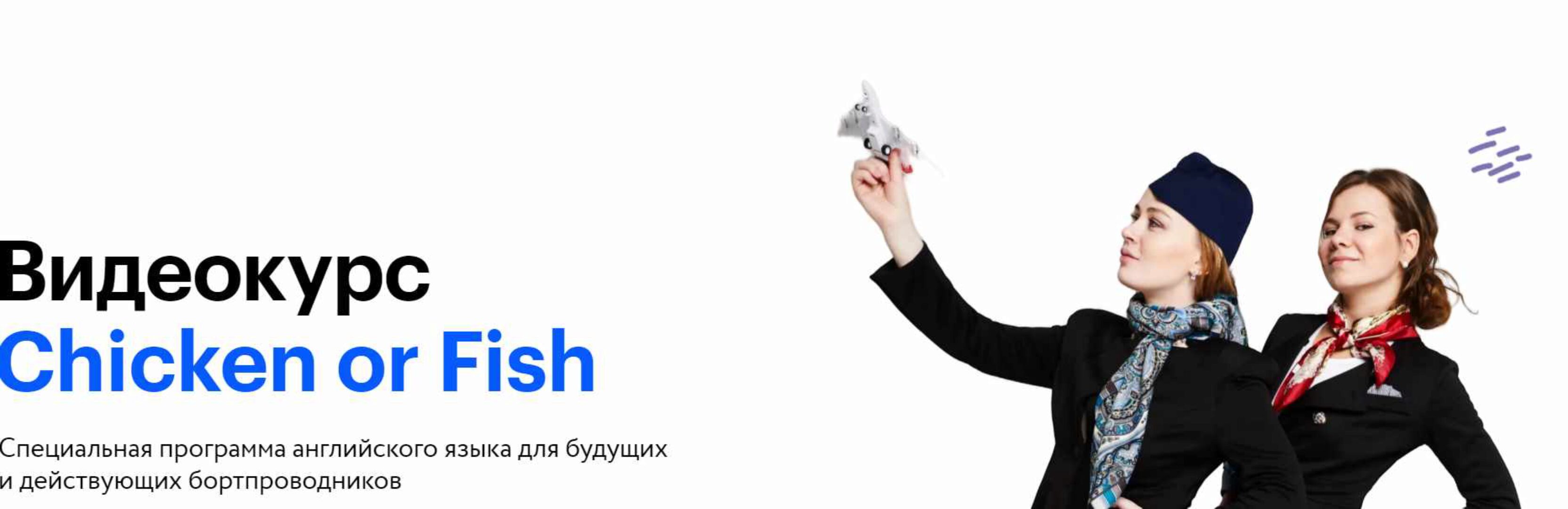 Английский для бортпроводников Chicken or Fish (Анна Фетискина)