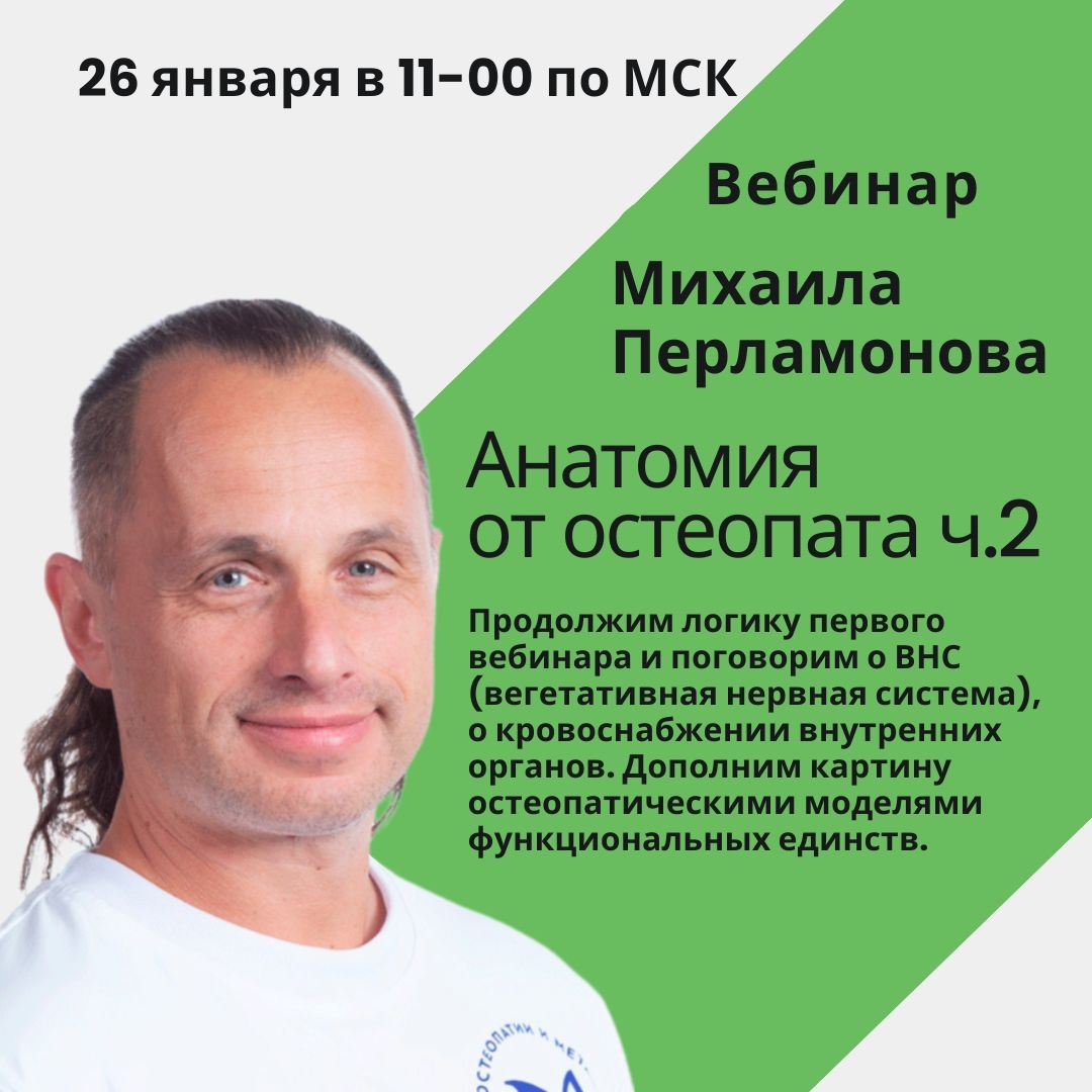 Анатомия от остеопата. Cеминар №2 от 26.01.2025 (Михаил Перламонов)