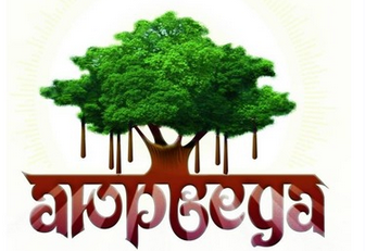 Аюрведа. Пиелонефрит и мочекаменная болезнь (Елена Арчибасова)