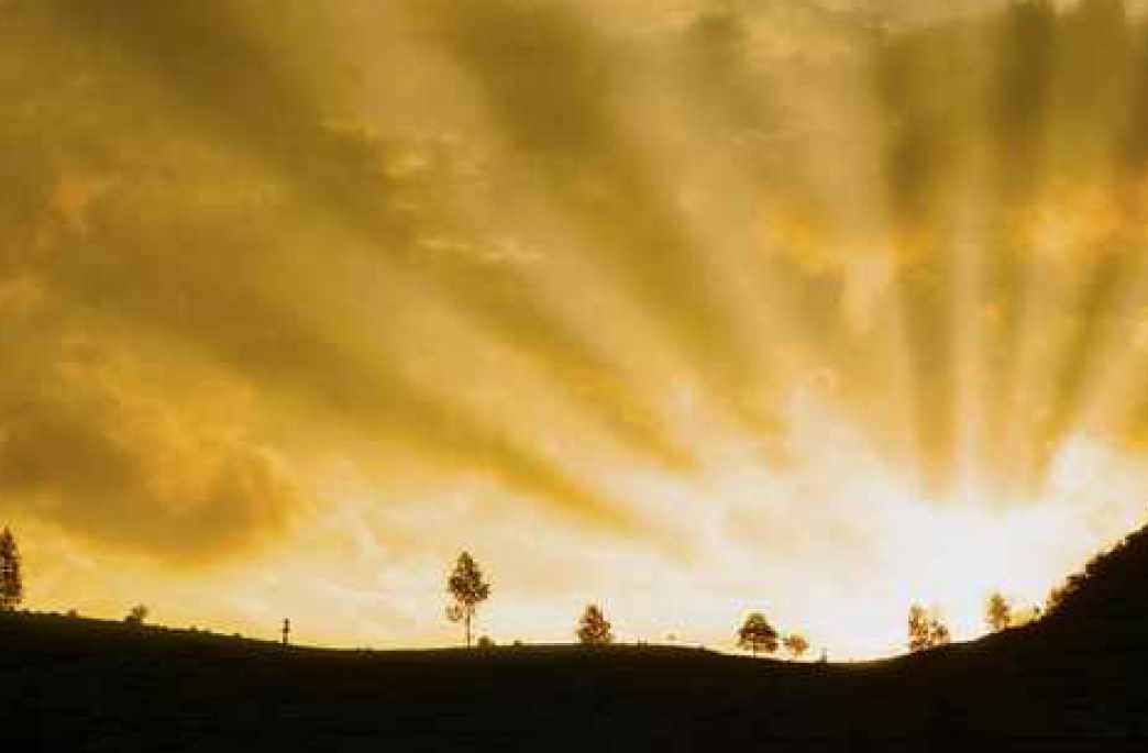 Очищение исторического образа мышления (Мэрайя Виндсонг)