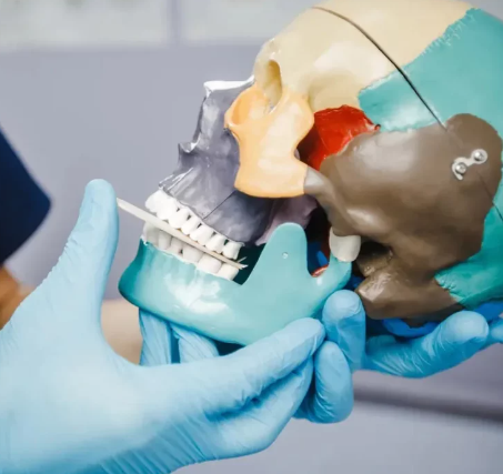 Мышечно-фасциальная терапия дисфункции ВНЧС с позиции прикладной кинезиологии (Андрей Максимов)