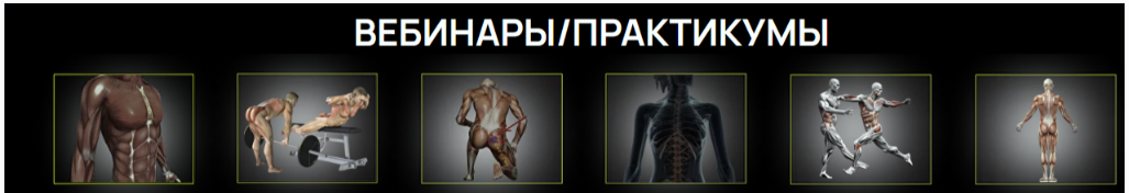 Красивые ягодицы. Импиджмент ТБС. Синдром грушевидной мышцы (Александр Волоткевич)