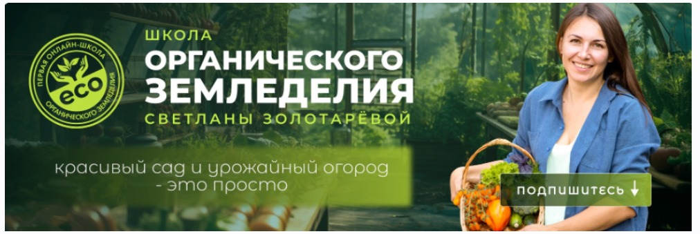 Пестициды. Их виды, назначения. Влияние на человека и природу (Светлана Золотарёва)