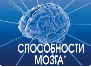 Реализация способностей мозга, 18 месяц (Егор Булыгин)