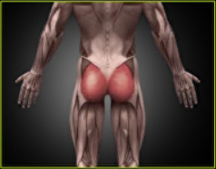 Тренировка при плоских ягодицах и сглаженном поясничном лордозе (Александр Волоткевич)