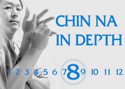 Боевые Искусства. Цинь на. Chin Na in Depth 8 (Ян Цзюн Мин)