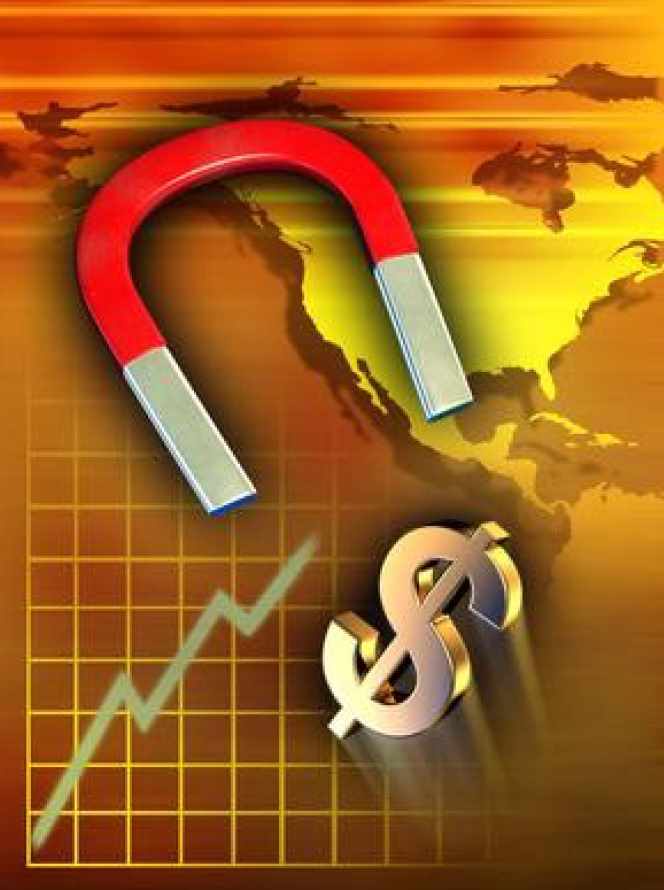 Магнитный усилитель денег (Розмари Ноэль)