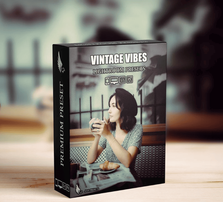 [AAA Presets] Envato Elements, Пресеты - AI-Optimized Vintage Vibes Lightroom Presets, 2025