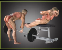 Приседания и хинч. Лучший способ реабилитации и тренировки таза и нижних конечностей (Александр Волоткевич)