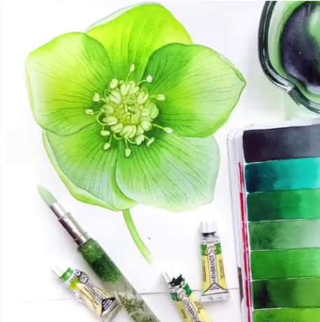 [flowers_with5] Ботанический баттл. Цветы от пяти художников