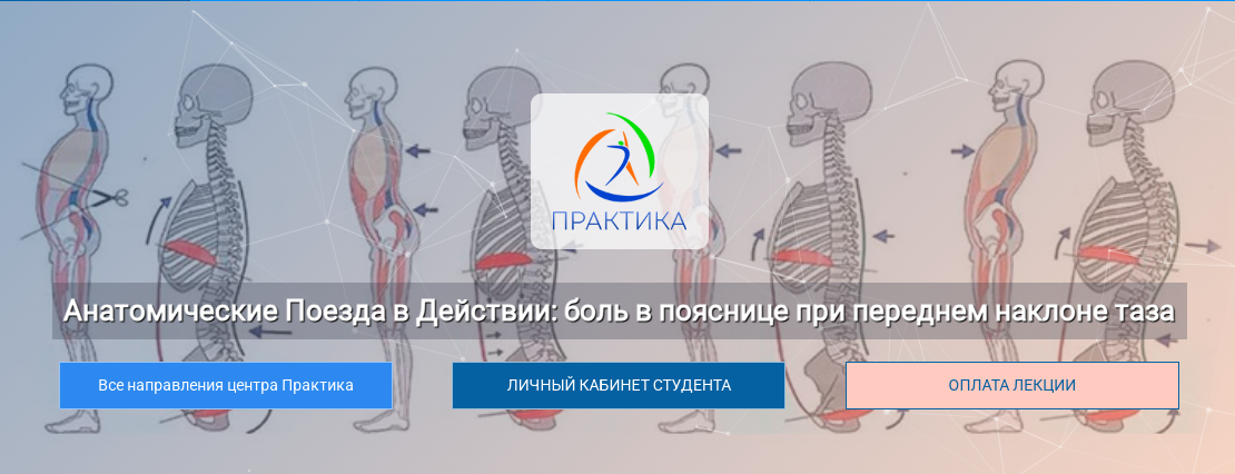[Центр Практика] Анатомические Поезда в Действии: боль в пояснице при переднем наклоне таза (Анна Щербина)