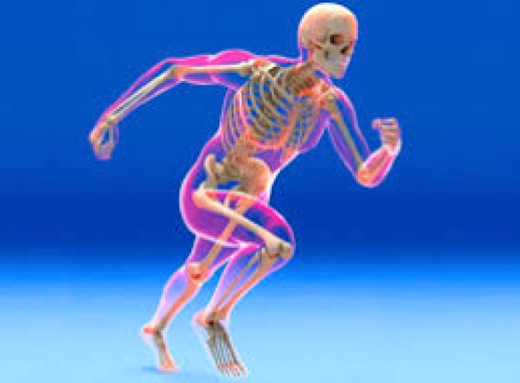 [Neso Akademie] Клуб Таро. Март 2023. Деревенская магия. Исцеление заболеваний (София Вюрстлин)