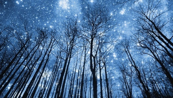 Астрология налегке. Второе дыхание. Апрель-Май 2025. Тариф Очарованный небом (Анна Староминская, Константин Дараган)