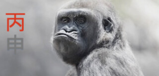 Фэншуй-2016. Рекомендации в год Огненной Обезьяны (Елена Скуратова)