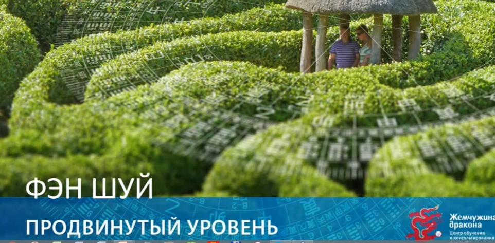 Фэн Шуй онлайн. Продвинутый уровень 4/10 (Наталья Цыганова)