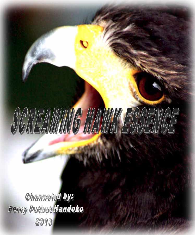 Эссенция Кричащего Ястреба (Хари Андри Винарсо)