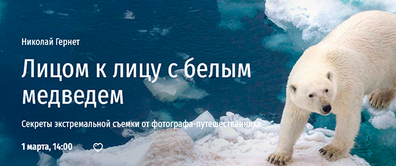[Прямая речь] Лицом к лицу с белым медведем. Секреты экстремальной съемки от фотографа-путешественника (Николай Гернет)