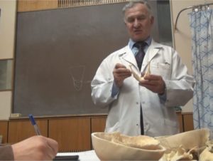 Анатомия для остеопатов. Череп (Иван Гайворонский)